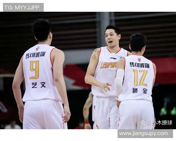 CBA 青训体系发展瓶颈及优化路径探索 CBA 青训体系发展瓶颈及优化路径探索